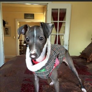 Meet your Posher, Terry